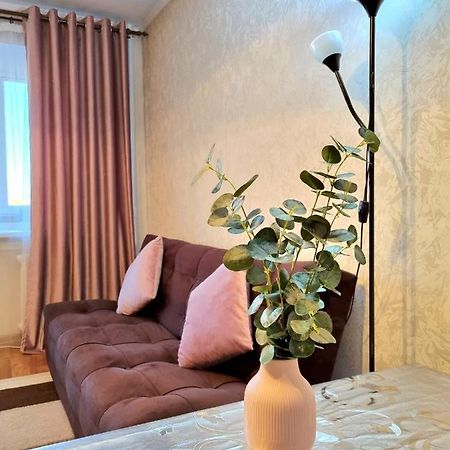 Apartment На Стрелке С Красивым Видом На Иртыш Ustʼ-Kamenogorsk Zewnętrze zdjęcie